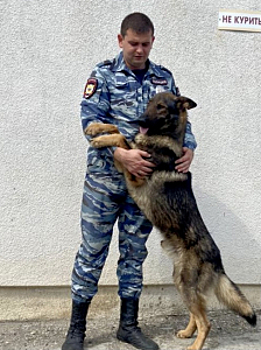 В Краснодарском крае служебная собака отыскала пропавшего ребенка