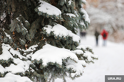 Синоптик предсказал оттепель в Свердловской области