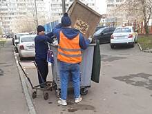 Во дворе дома в Песочном переулке с газонов убрали бытовой мусор