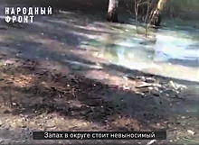 В Красноармейском районе деревья чахнут в «озере» нечистот