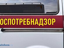 В Роспотребнадзоре ответили на вопрос о лосиных мухах и боррелиозе