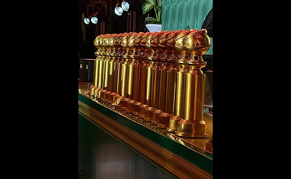 Никки Глейзер проведет 82 церемонию вручения премии «Золотой глобус»