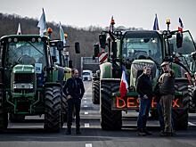 Атталь: Париж добился первых результатов в диалоге с ЕС по сокращению украинского импорта