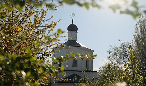 Запреты и традиции: 25 мая православные отмечают Вознесение Господне