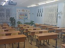 Напавшая на сверстницу в школе под Красноярском девочка принесла кухонный нож с собой