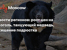 Новости регионов: рост цен на алкоголь, танцующий медведь, похищение подростка