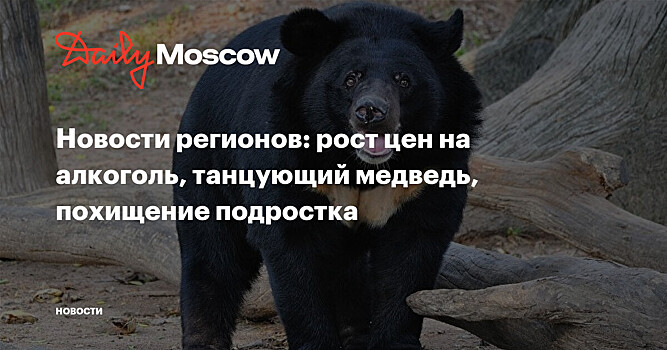 Новости регионов: рост цен на алкоголь, танцующий медведь, похищение подростка