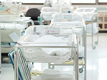 Счастье в кубе: первая в этом году тройня появилась в Санкт-Петербурге