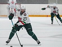 "Ак Барс" объявил состав на предстоящие матчи в Альметьевске и Нижнекамске