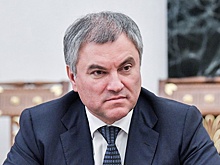 Володин: Госдума проконтролирует, чтобы телефонный вор в подмосковном Щелково понес наказание