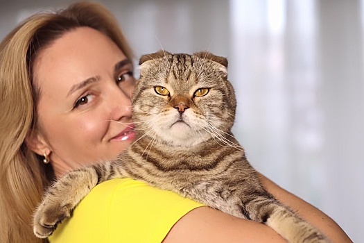 Фильм "Империя кошек" расскажет о самых знаменитых котах России