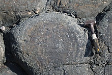 В Карелии обнаружили следы древней нефти возрастом около 2 миллиардов лет