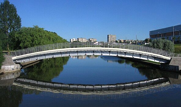 В Голландии «напечатают» мост