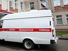 В ДТП с рейсовым автобусом в Нижегородской области пострадали 10 человек