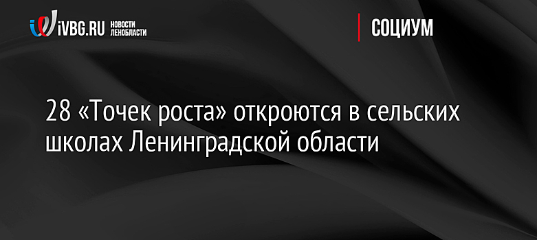 Образовательные центры появятся на базе 28 сельских школ Ленобласти