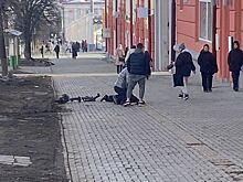 В Ижевске проводят проверку по факту наезда электросамокатчика на женщину
