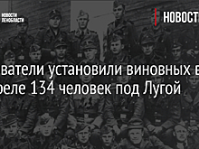 Следователи установили виновных в расстреле 134 человек под Лугой