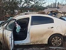 Погиб таксист: подробности смертельной аварии с лосем под Костромой