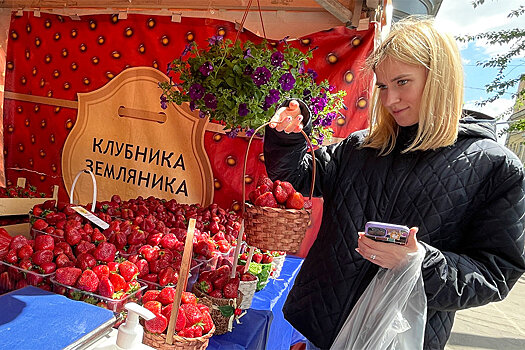В Москве открылись 77 площадок для продажи клубники
