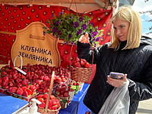 В Москве открылись 77 площадок для продажи клубники