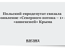 Польский евродепутат связала появление «Северного потока – 1» с «аннексией» Крыма