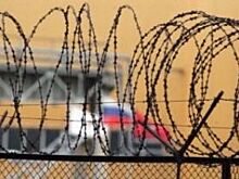 Ревнивец из Новокуйбышевска, убивший подругу, отправлен в колонию