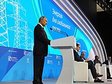 Путин предложил глобальное энергетическое партнерство