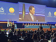 CNN (США): Критики Путина радуются поражению кандидата России на выборах президента Интерпола