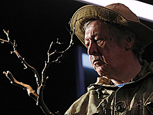 Спектакль «Посадить дерево» с Михаилом Ефремовым — потенциальный зрительский хит?