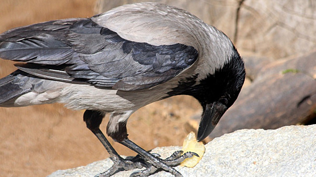 Приметы на 15 апреля 2022 года: что нельзя делать в этот день