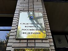 СК проверит советовавшего девушкам ждать смерти супругов на СВО риелтора