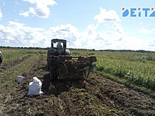 Молодежь заманивают в трактористы