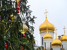 Главную ель страны украсят к 25 декабря