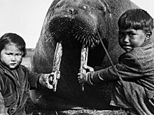 Почему у эскимосов не было незаконнорожденных детей