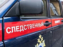 СУ СКР расследует гибель 15-летней девушки, погибшей в авто ее парня
