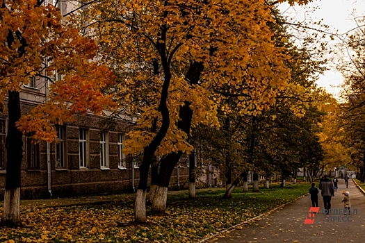 20 ярких фотографий осенней Перми