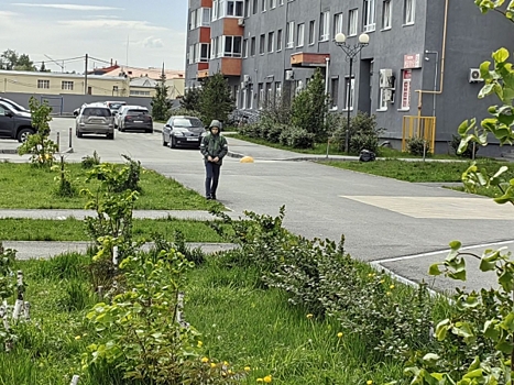 Колья преткновения: в тюменском дворе жители не поделили газон