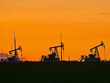 Проблемы с продажей российской нефти Индии и Китаю усугубились