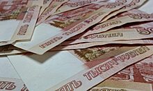 Сельские жители задолжали левобережному оператору более 30 миллионов за вывоз мусора