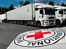 РФ передала Украине 6060 тел погибших бойцов ВСУ