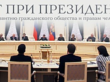 Совет при президенте РФ по правам человека рассмотрит обращение активистов Стоп ГОКа