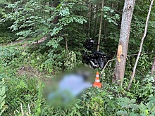 В Ижевске водитель мопеда погиб в результате наезда на дерево