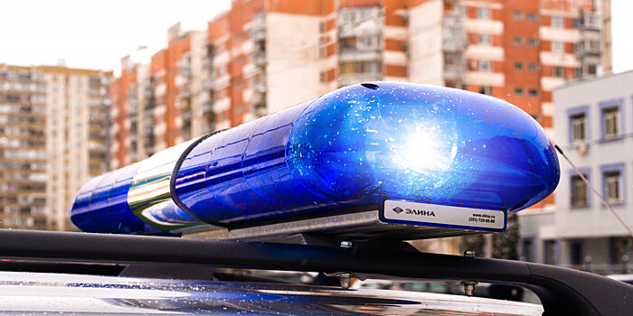 Десятилетний мальчик помог полиции задержать грабителя в Сочи