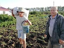 «АиФ-Казань» подводит итоги конкурса «Рекорды садовода»