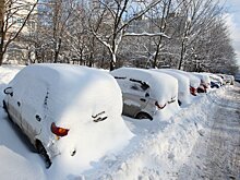 Снежный рекорд в Москве остался прежним