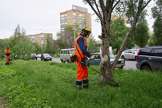 Елена Лапушкина потребовала от глав районов следить за состоянием газонов в Самаре