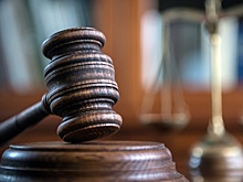 В Липецке в психбольницу направили женщину, выкинувшую собаку с четвертого этажа