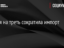 Россия на треть сократила импорт тунца