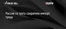 Россия на треть сократила импорт тунца