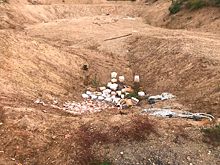 В России нашли свалку красной икры